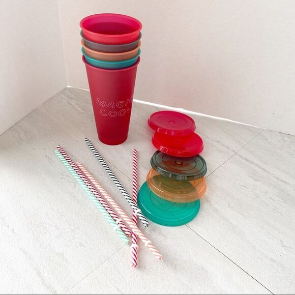 Starbucks Holiday 2019 Cold Cup Set W/ Bonus Straw